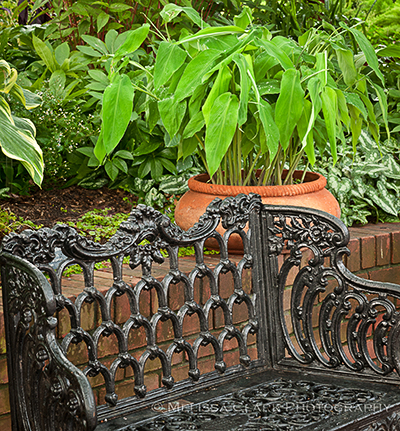 Wrought Iron Bench on One Of The Many Ornately Designed Wrought Iron Benches  With Varying