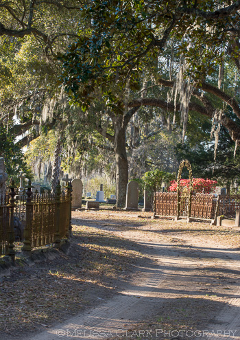 Charleston, Magnolia Cemetery