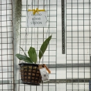 We loved the "Orchid Rehab" Station" on one of the walls.